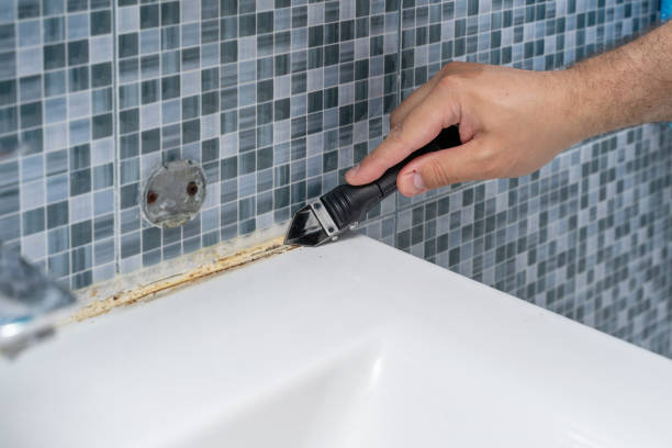 Best Emergency Mold Remediation in Shannon Hills, AR